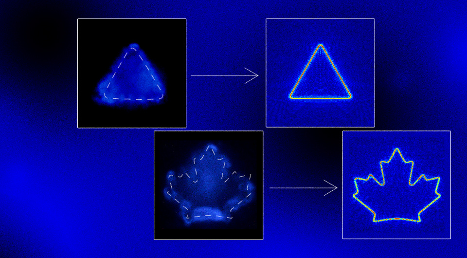   N + 1; Mahdi Derayatifar / Nature Communications, 2024