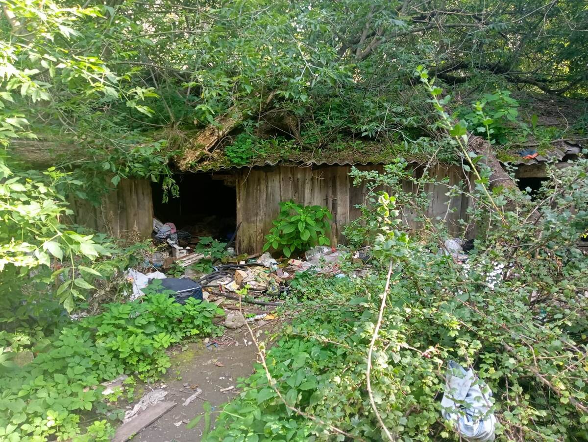 Фото автора. Выбросили вот сюда целое семейство на сведения бомжам.