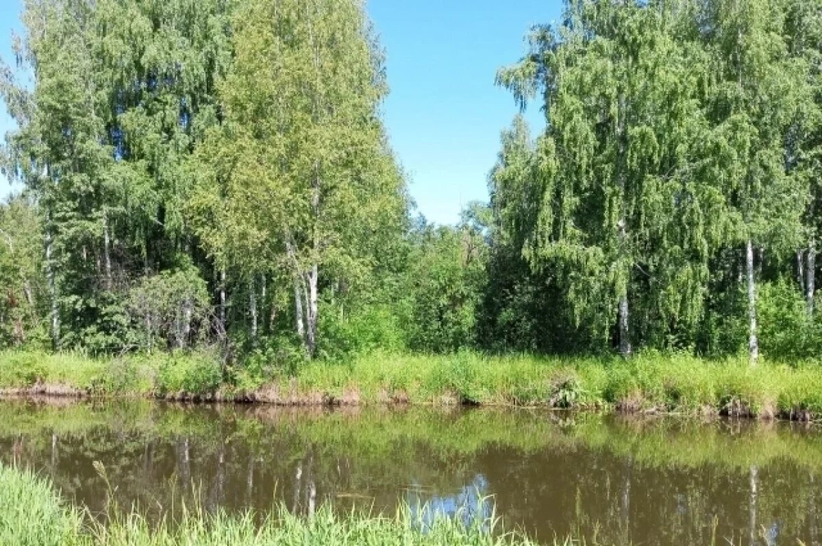    Школьник очень далеко заплыл и скрылся из виду.