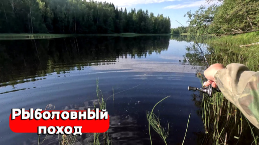 РЫБАЛКА В ДИКИХ МЕСТАХ! МОРМЫШИНГ, ЖИВЕЦ, СПИННИНГ! ПОГОДА ПОДВЕЛА...