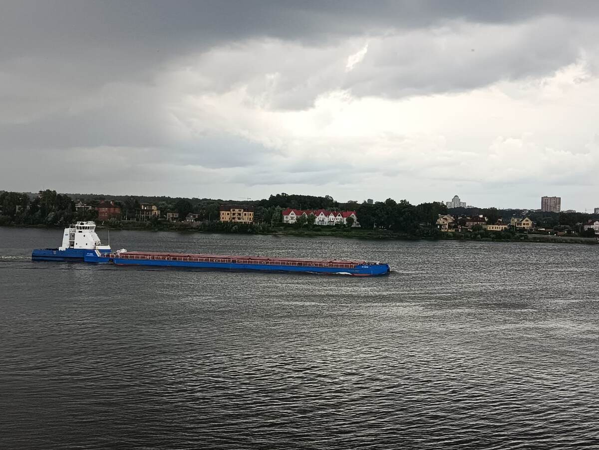 Волга серая, свинцовая. Фото автора