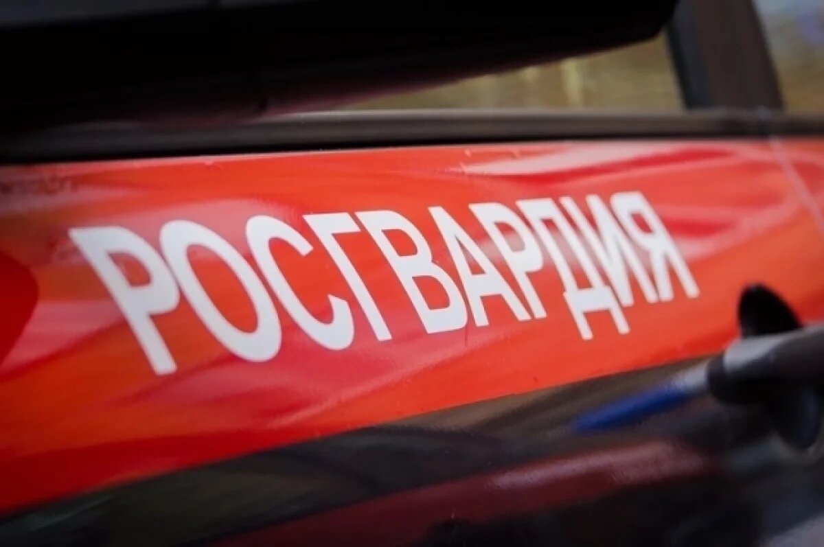    Продукты на 15 тысяч рублей пытались похитить из магазина в Пскове