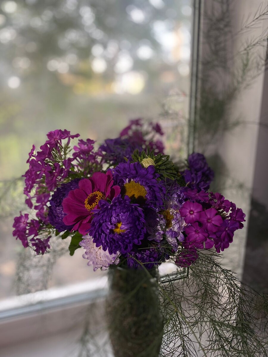 Красота августа 