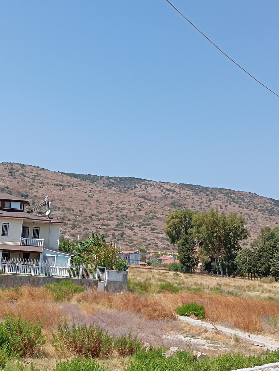 Личное фото 