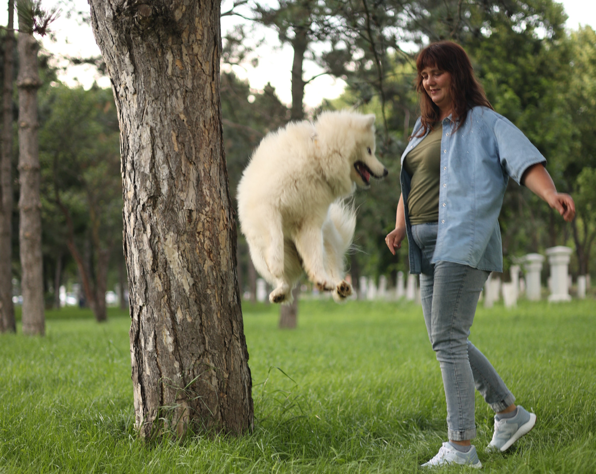 Когда земля уходит из под лап 