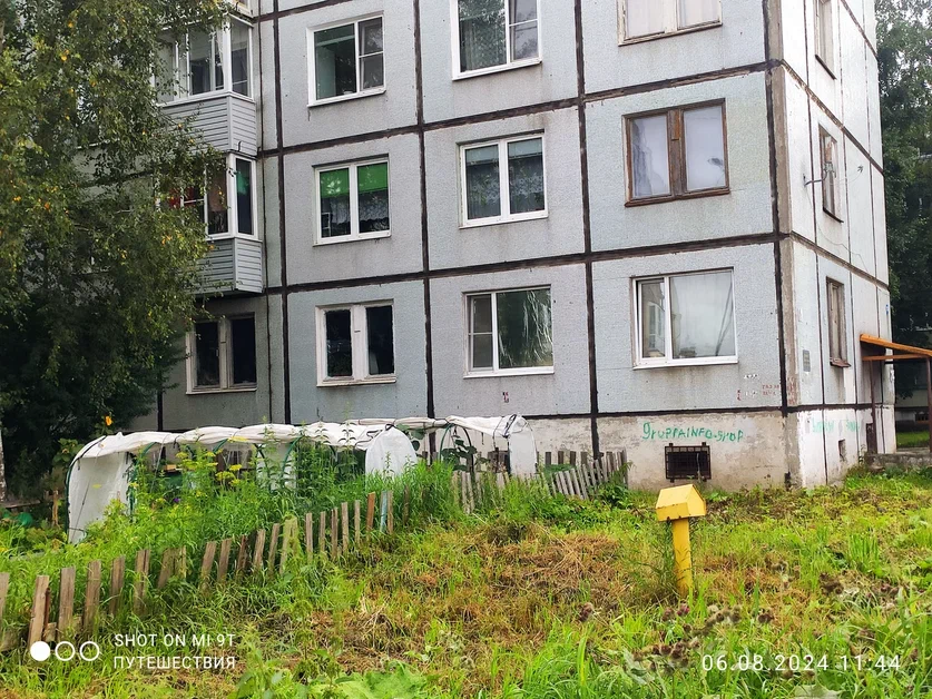 Просто парники перед домом в Вологде. Фото автора