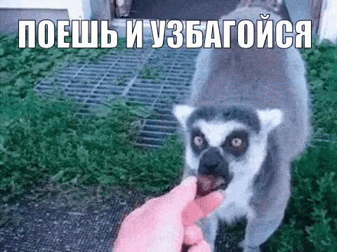 Картинка с открытого источника.