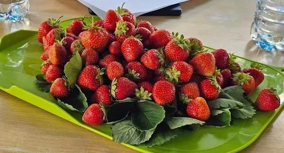    Министерство сельского хозяйства и продовольствия МО