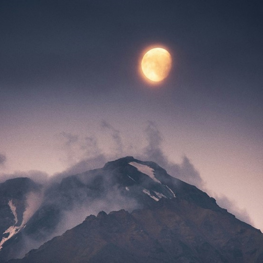 Источник: https://unsplash.com/ 