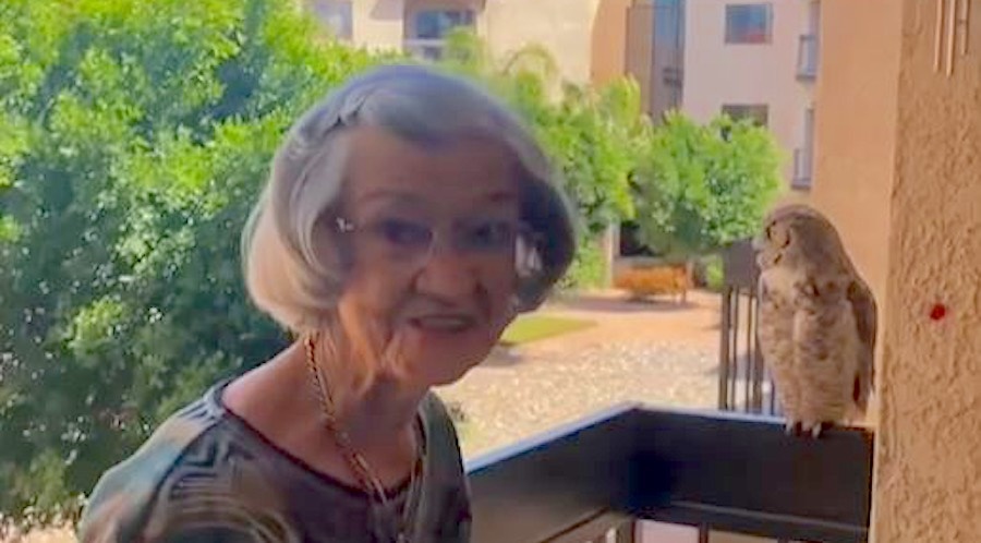 Во время очередной беседы