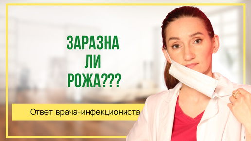 Заразна ли рожа? Ответ врача-инфекциониста