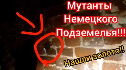 Усадьба немецкого барона- здесь проводили страшные эксперименты!18+