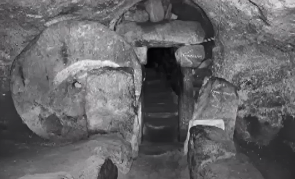 Изображение взято из открытого источника 