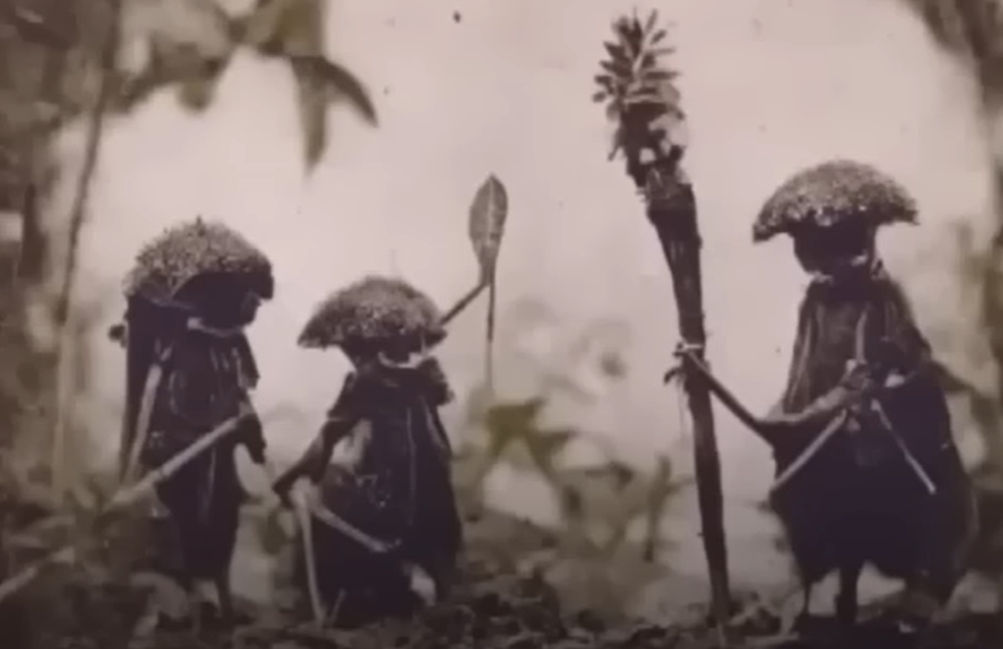 Изображение взято из открытого источника 