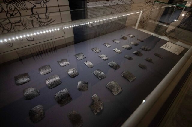    Фото: АиФ в Туле/ Романов Кирилл