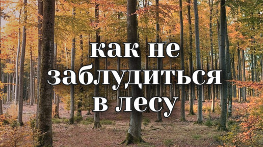 Как не заблудиться в лесу! Всегда выйти на свою точку входа в лес. Нам поможет в этом gps. Покажу как правильно пользоваться