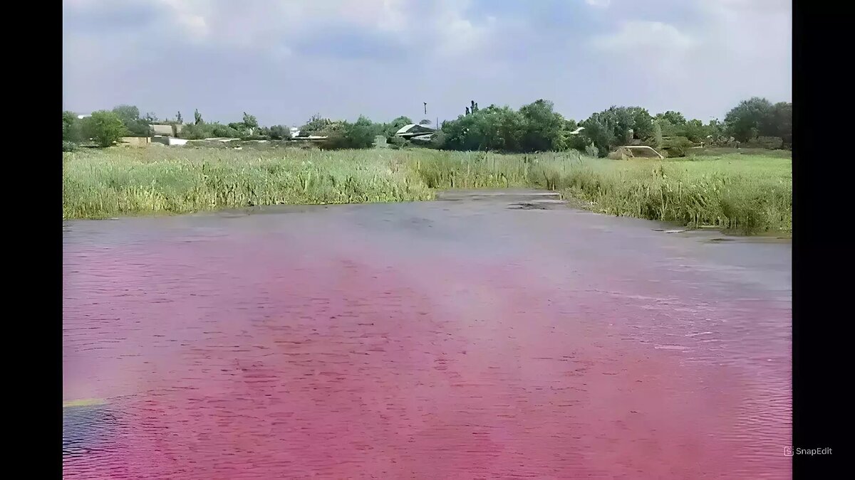     Источник: tg: Волгоград 34