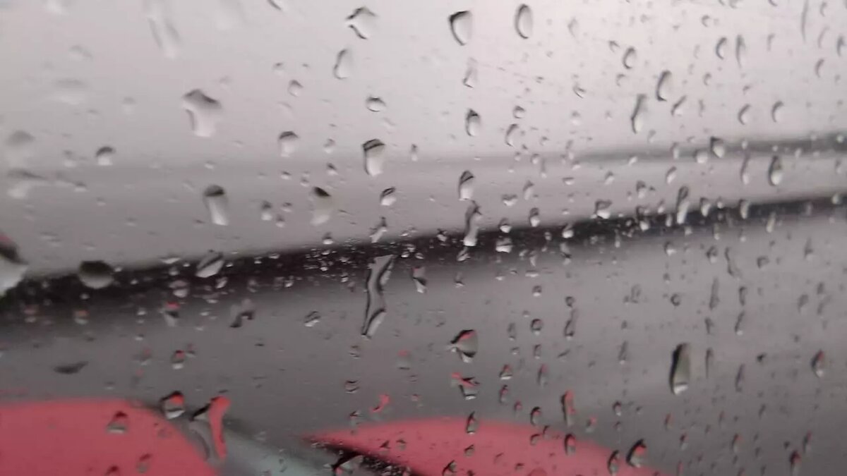     Источник: kursdela.biz