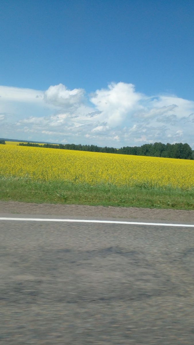 авторское фото энциклопедия алтая