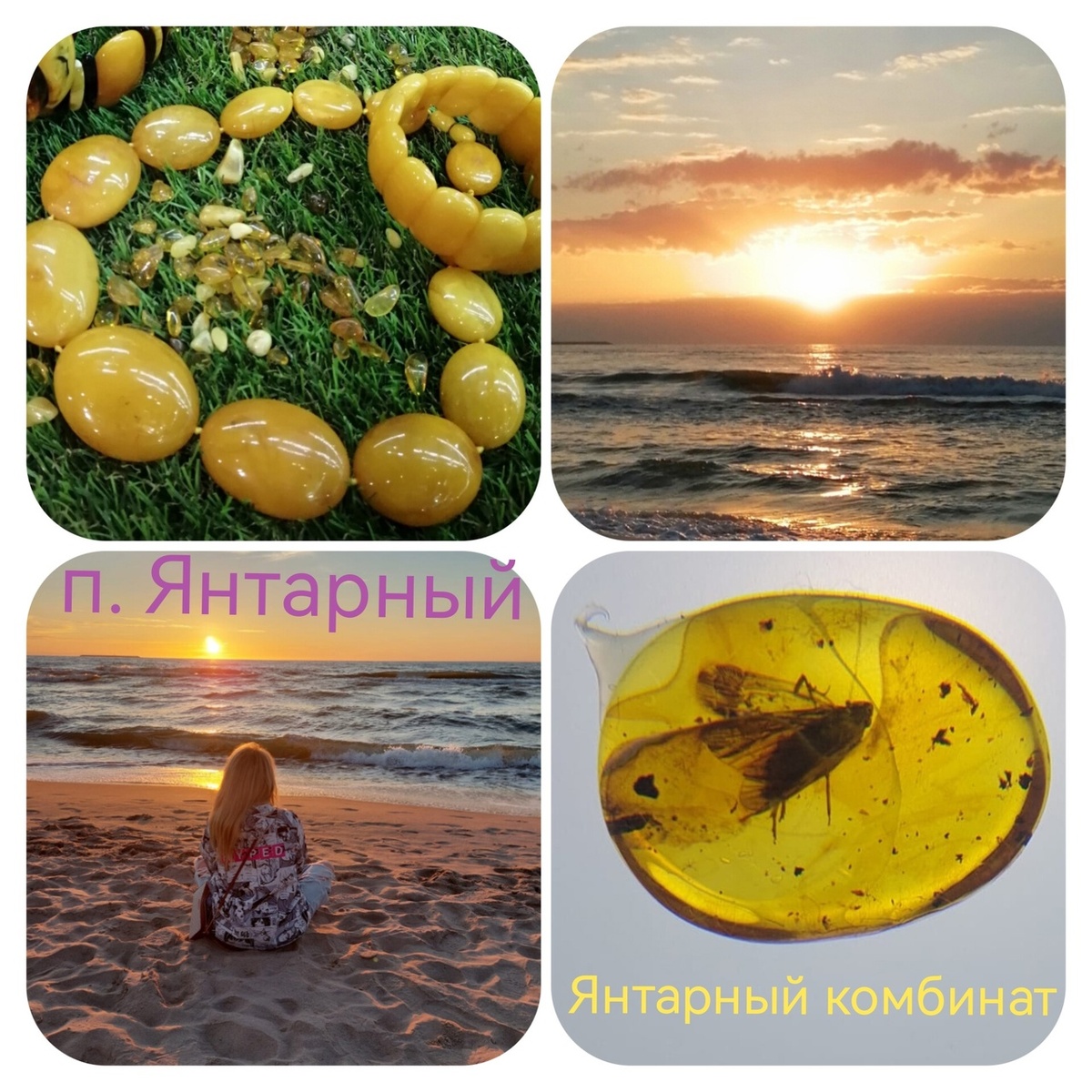 Комбинат в посёлке Янтарный Калининградской области