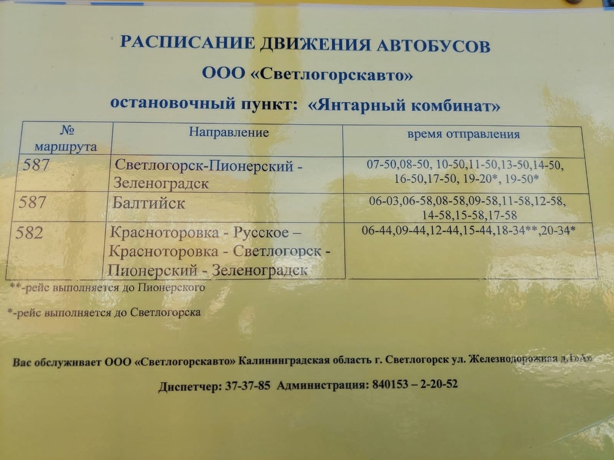 Расписание от Янтарного комбината 