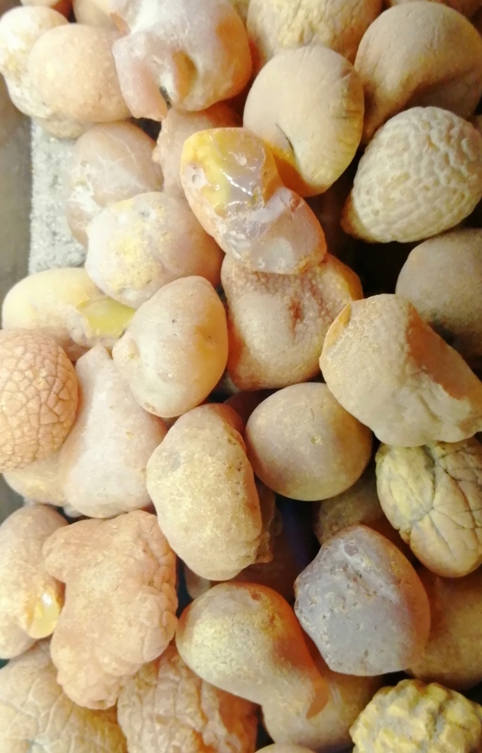 Необработанный янтарь. Такой можно найти на пляже