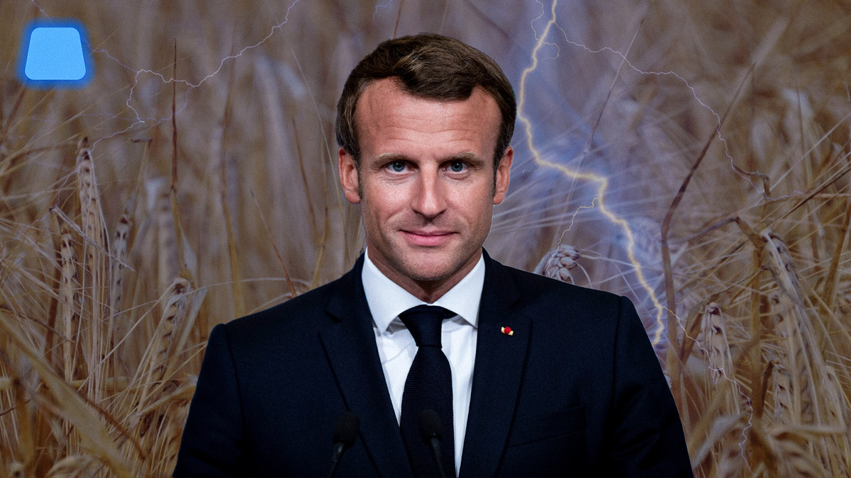 Фото: Метаметрика