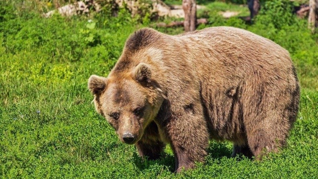    Фото: вице-мэр Новороссийска Александр Яменсков