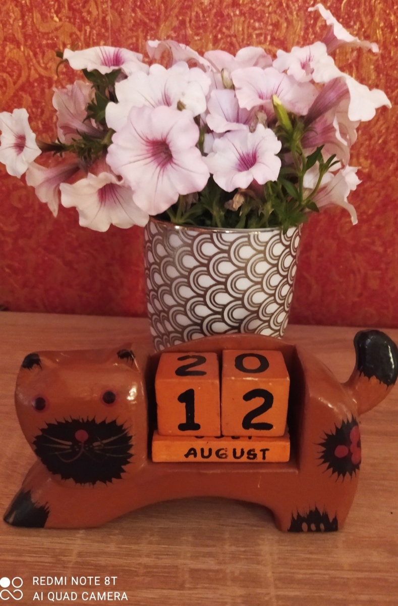 Это я сегодня петунию обрезала