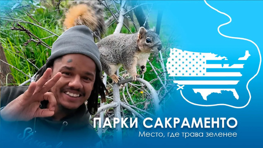 Дикая природа в городе Сакраменто. Парк в Сакраменто. Темнокожие парни хотели забрать мою камеру.