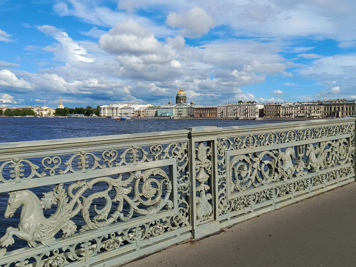 Вид на Английскую набережную с Благовещенского моста.