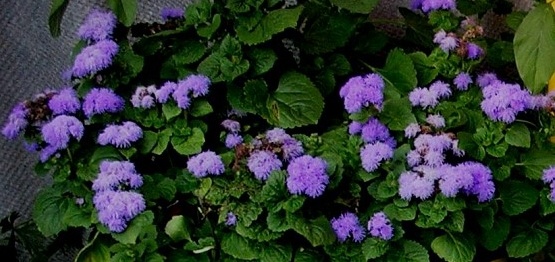 Фото автора канала