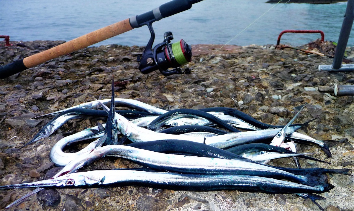 Фото с сайта: https://baldezh.top