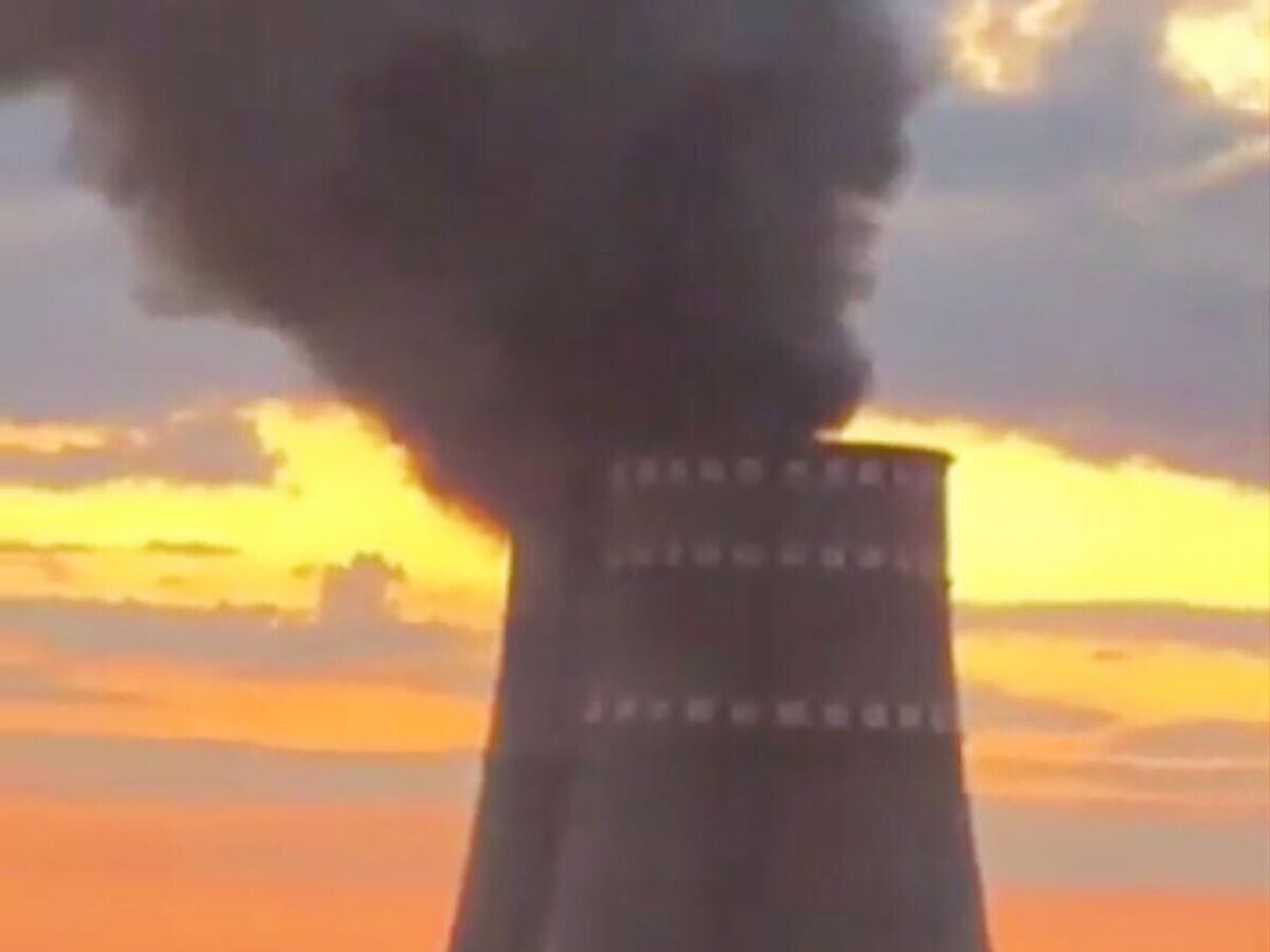    Пожар на ЗАЭС© Кадр видео из соцсетей
