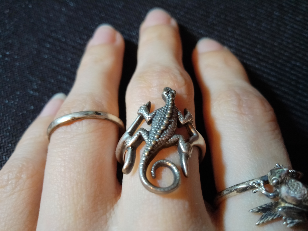 Ящерка. Фото автора