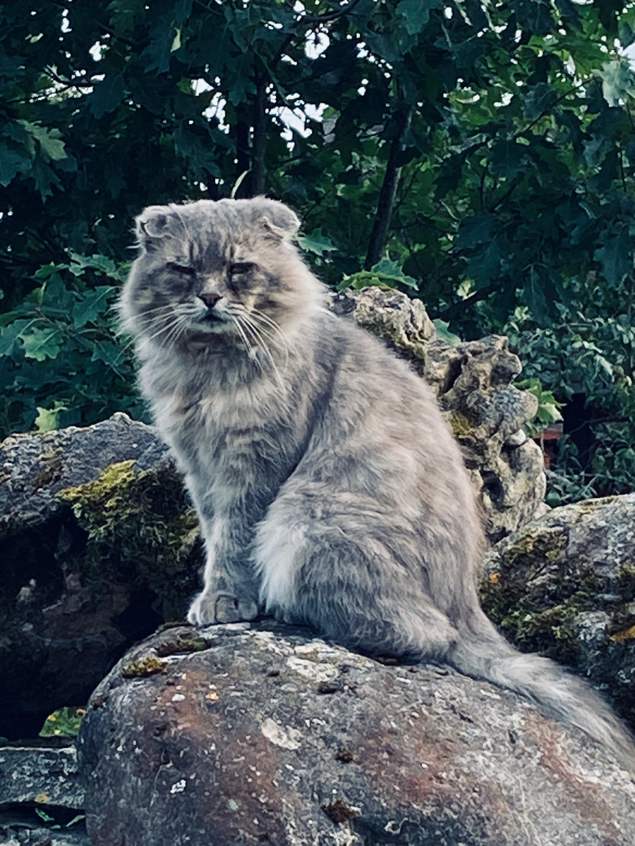 Кого тут прогнать надо?!