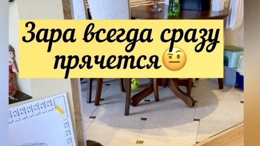 Лужа в кресле, опять веник мешал кому то😡 Всё, пусть теперь голодные ходят 😡