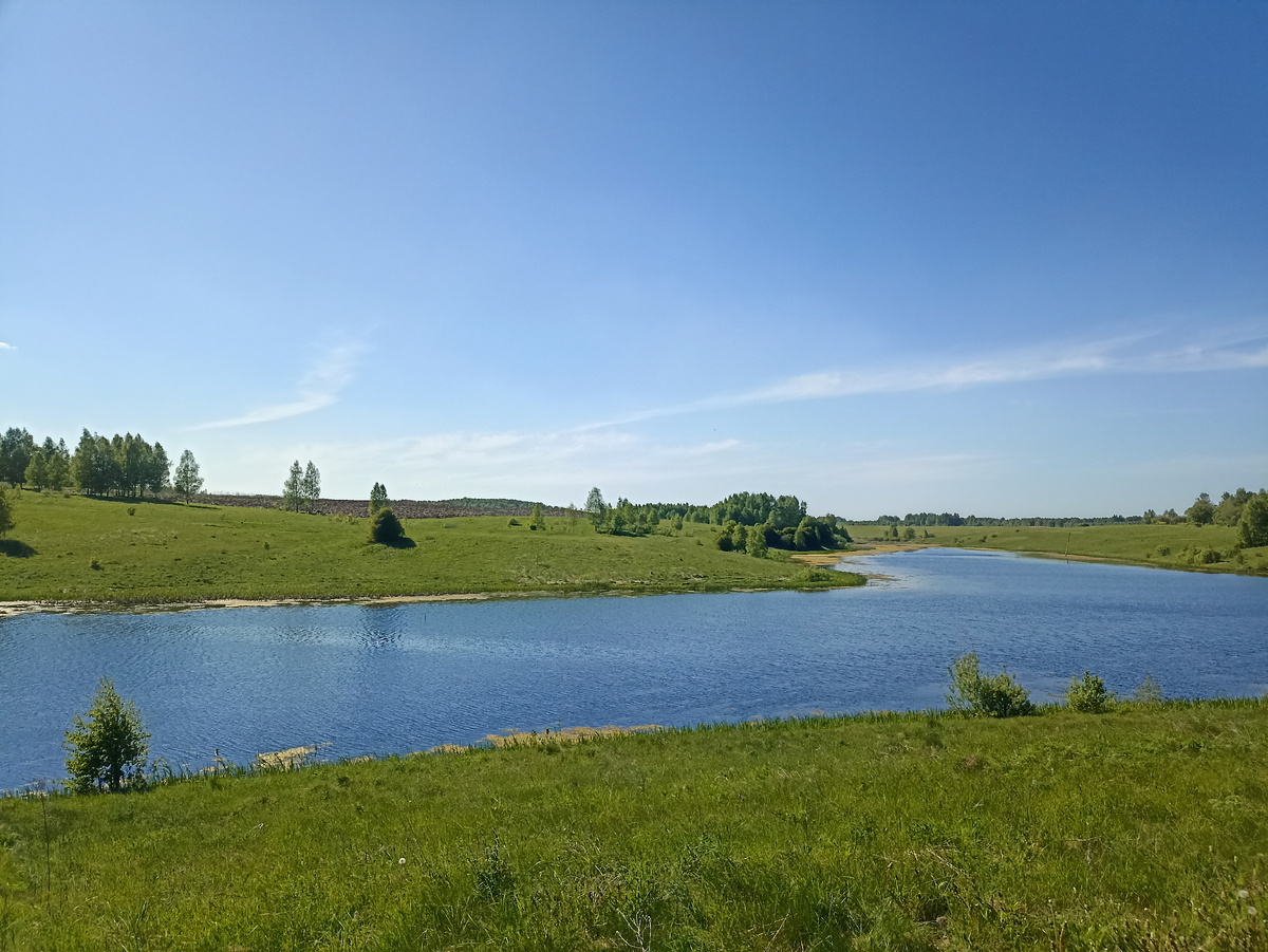 Яркие краски поздней весны