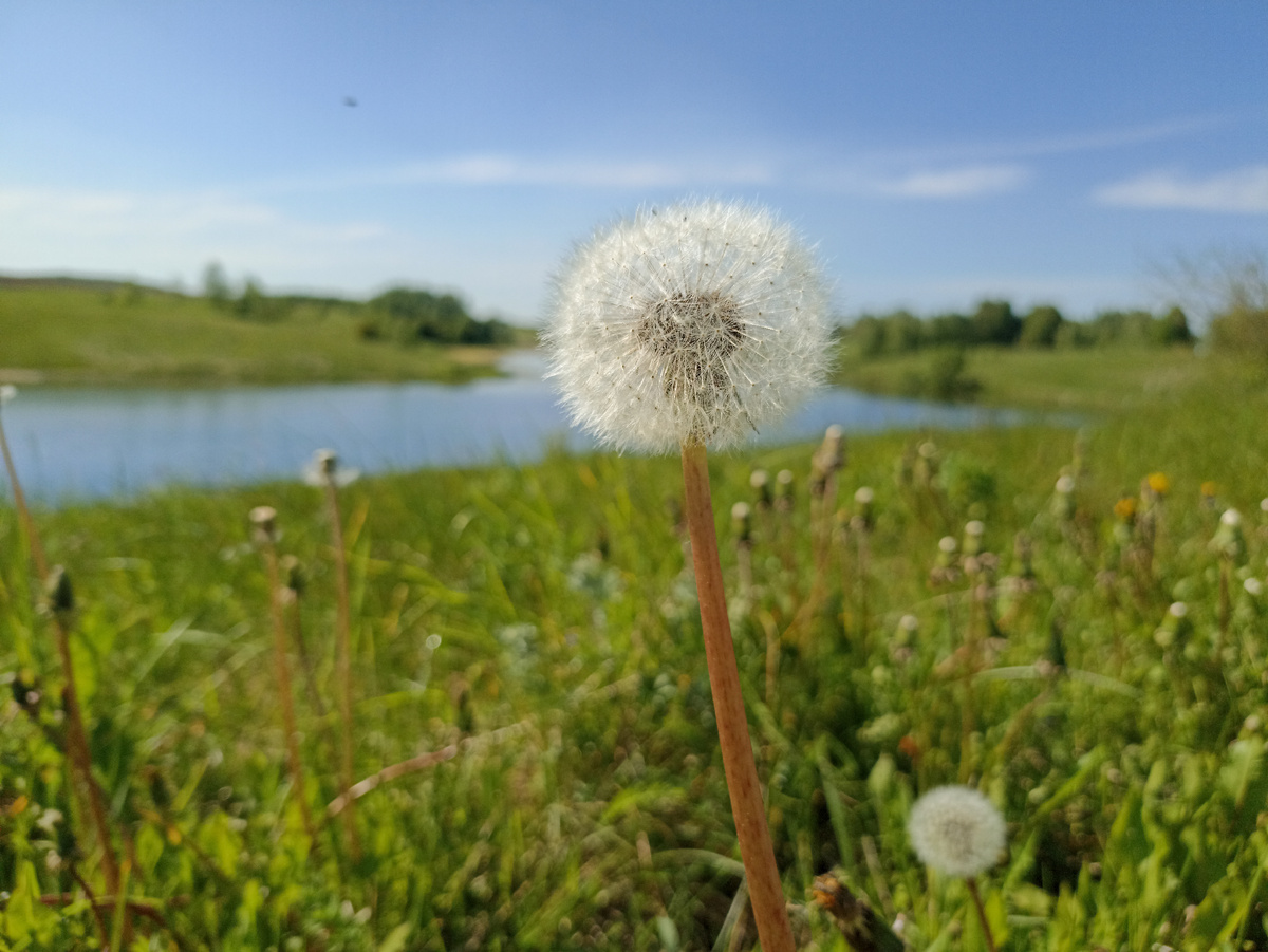 Яркие краски поздней весны