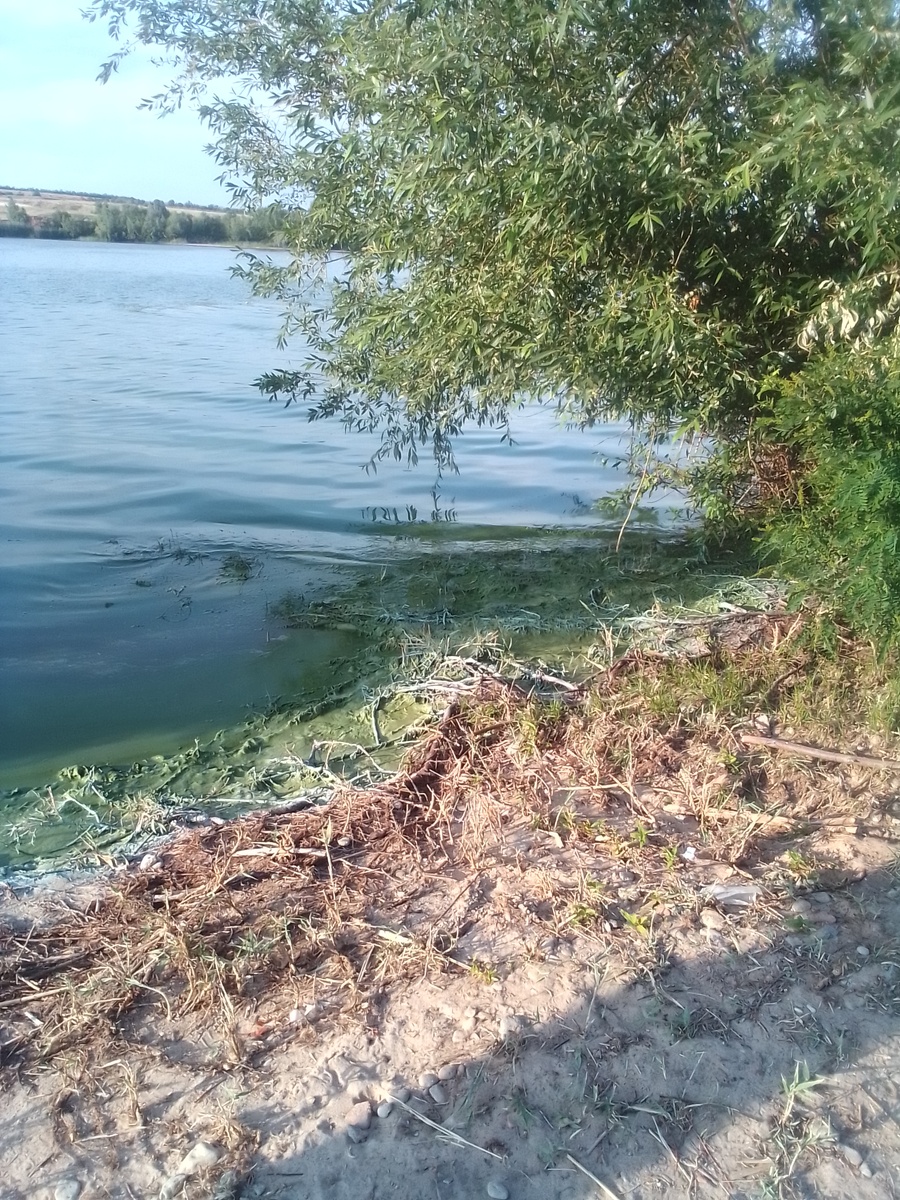 Так выглядит песчаный берег