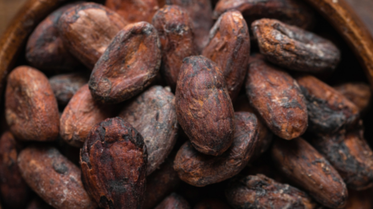 Какао-бобы