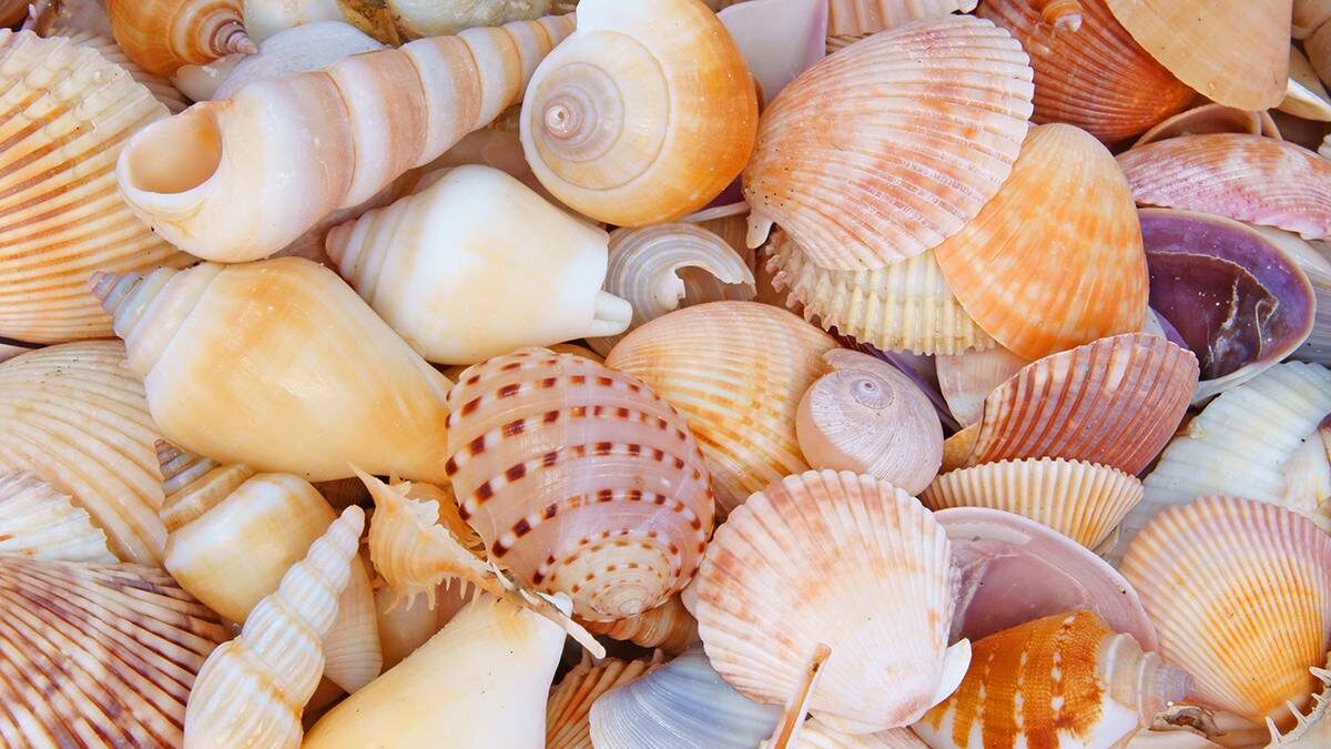    Фото: Shutterstock