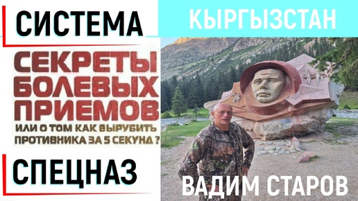 Дружеский привет из Киргизия. Сзади хлопают по плечу, что делать. Курс Самозащиты Система Спецназ Вадим Старов.