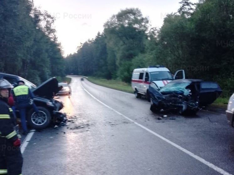     Фото: МЧС по Калужской области