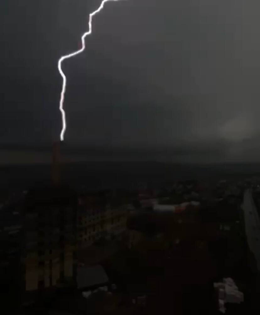 
Скриншот из видео Михаила Сигала.
