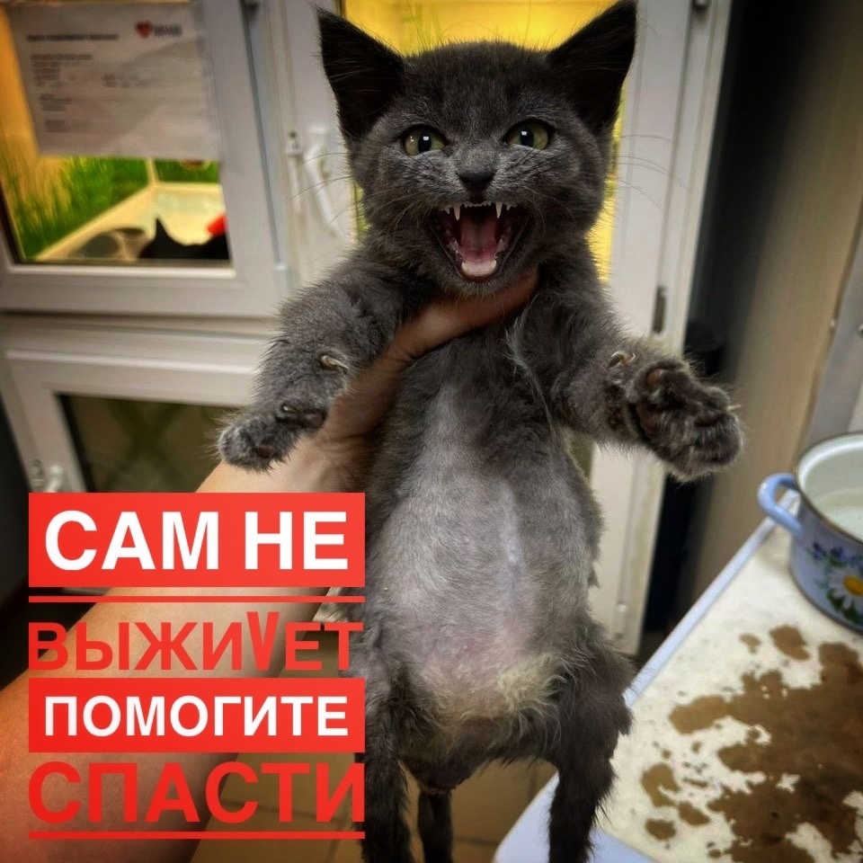 Испорченная судьба на всю жизнь, помогите!