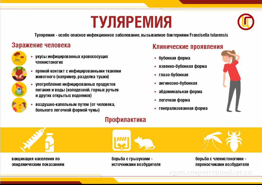    Опасная инфекция угрожает жителям Петрозаводска и четырех районов Карелииpxhere.com