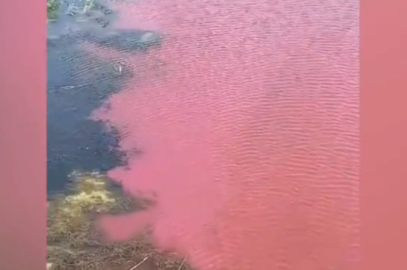    Скриншот с видеозаписи очевидцев