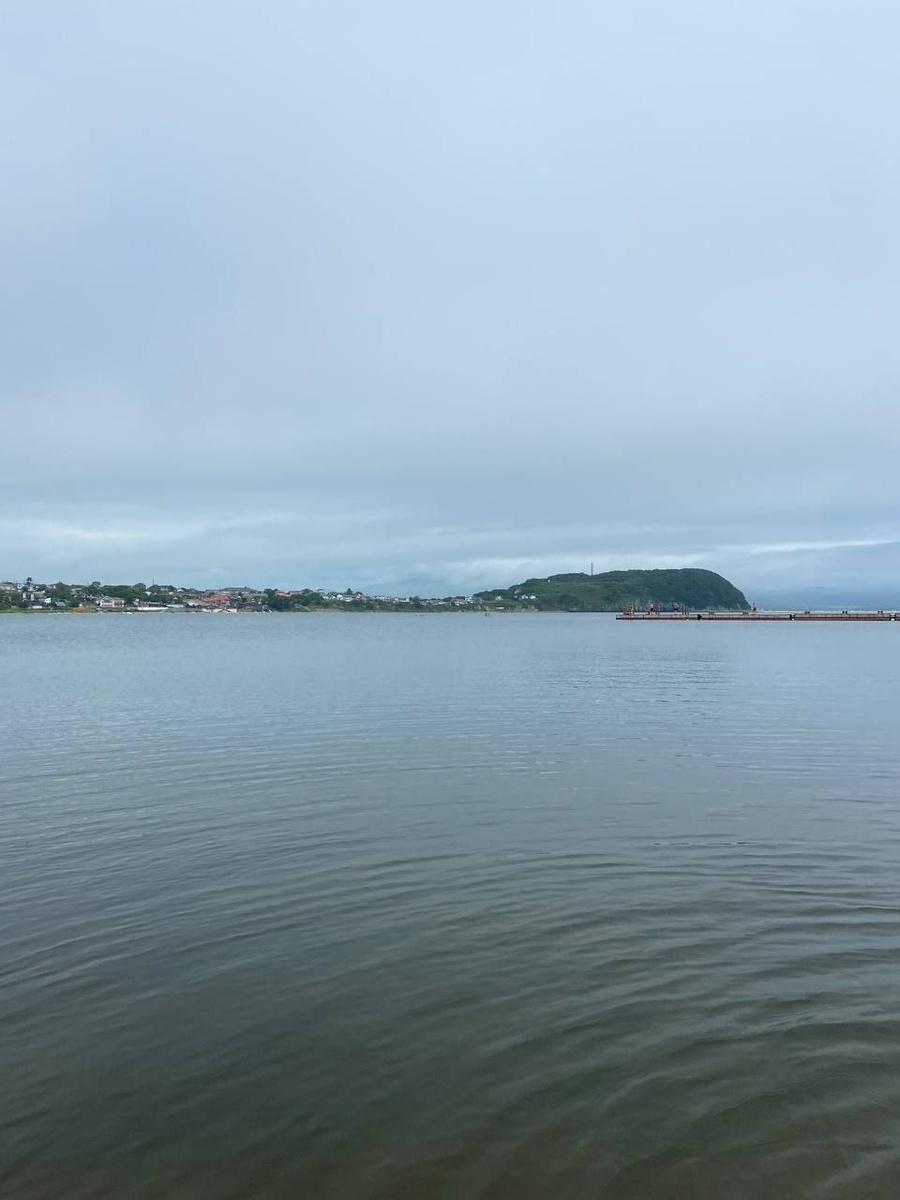     Источник: pogoda_25_region