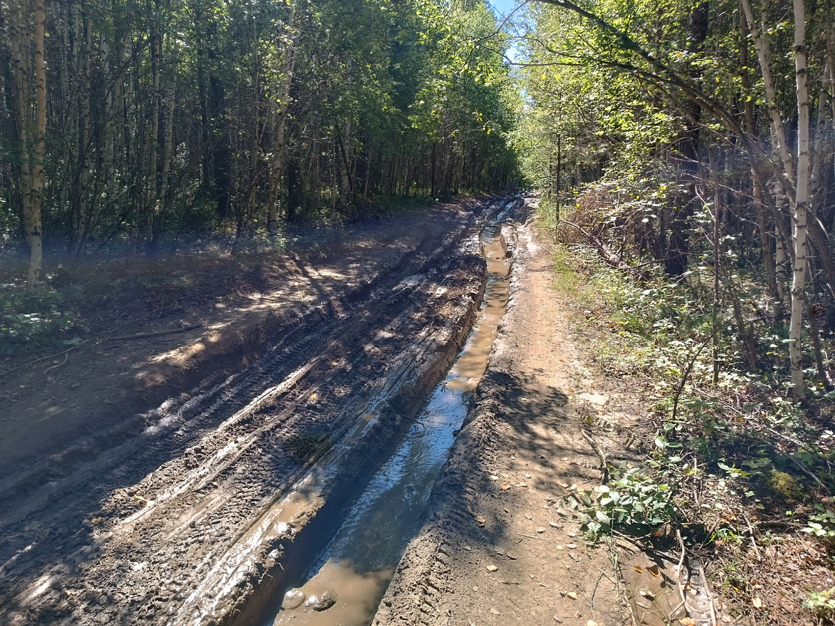 Типичная дорога, по которой происходит заброска